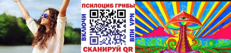 kraken маркетплейс  закладки  Феодосия  Псилоцибиновые грибы GOLDEN TEACHER 