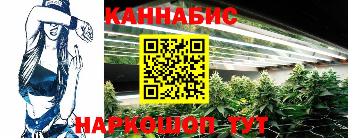 Бошки Шишки гибрид Феодосия